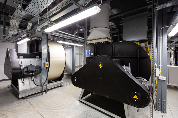 Tinbergen Plant Room & CLT Building